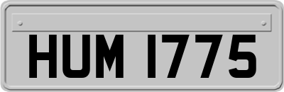 HUM1775