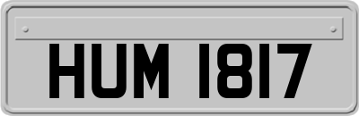 HUM1817