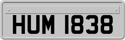 HUM1838