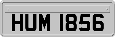 HUM1856