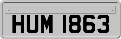 HUM1863