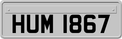 HUM1867