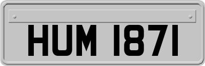 HUM1871