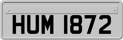 HUM1872