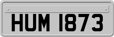 HUM1873