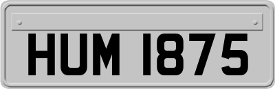 HUM1875