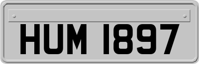 HUM1897