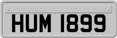HUM1899