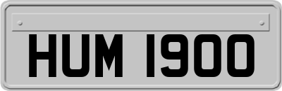 HUM1900