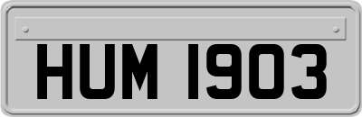 HUM1903