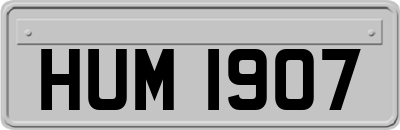 HUM1907