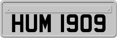 HUM1909