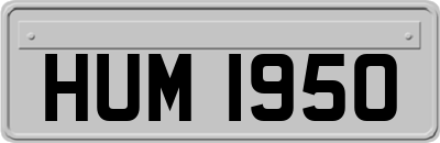 HUM1950