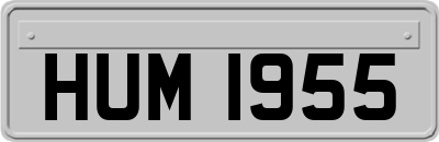 HUM1955