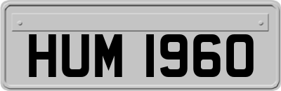 HUM1960