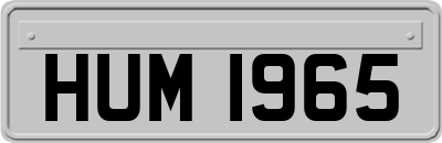 HUM1965