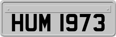 HUM1973