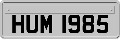 HUM1985