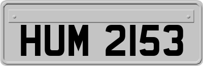 HUM2153