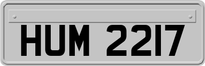 HUM2217