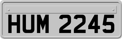 HUM2245