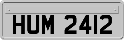 HUM2412