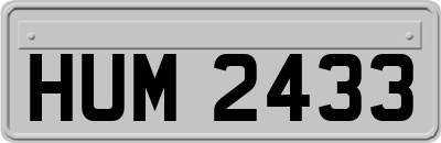 HUM2433