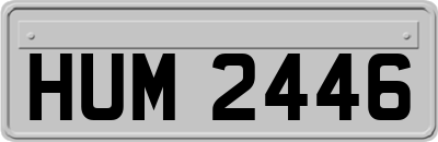 HUM2446