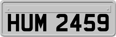 HUM2459