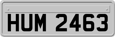 HUM2463