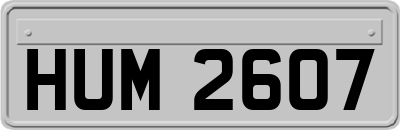 HUM2607