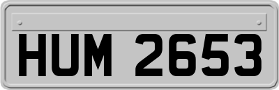 HUM2653