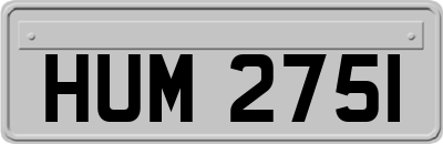 HUM2751