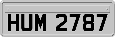 HUM2787