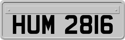 HUM2816