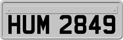 HUM2849