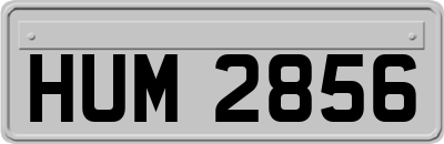 HUM2856