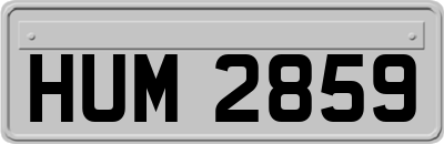 HUM2859