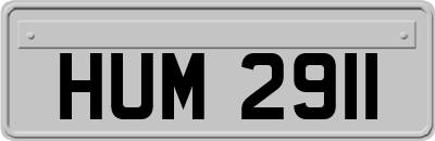 HUM2911