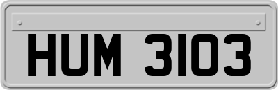 HUM3103