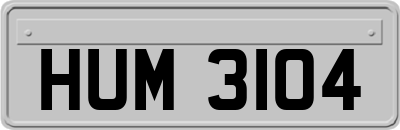 HUM3104