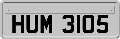 HUM3105