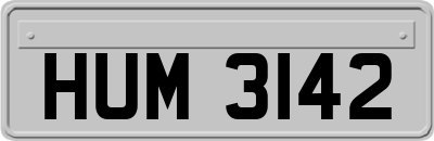 HUM3142