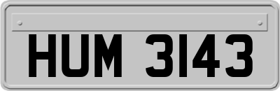 HUM3143