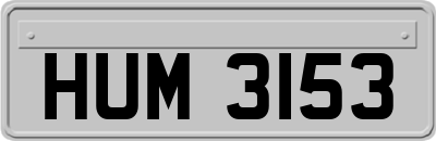 HUM3153