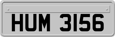 HUM3156