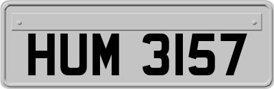 HUM3157