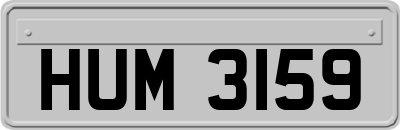 HUM3159