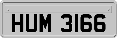 HUM3166