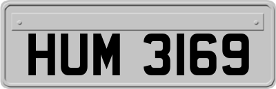 HUM3169